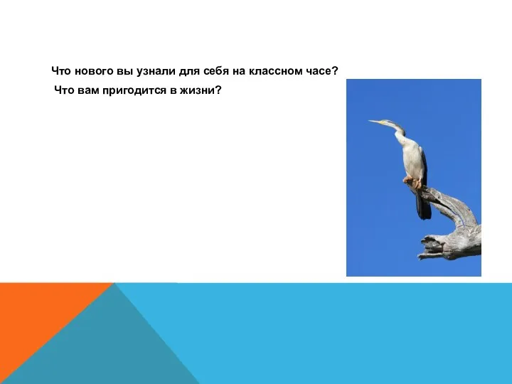 Что нового вы узнали для себя на классном часе? Что вам пригодится в жизни?