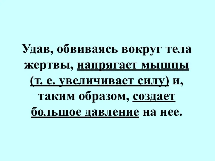 Удав, обвиваясь вокруг тела жертвы, напрягает мышцы (т. е. увеличивает