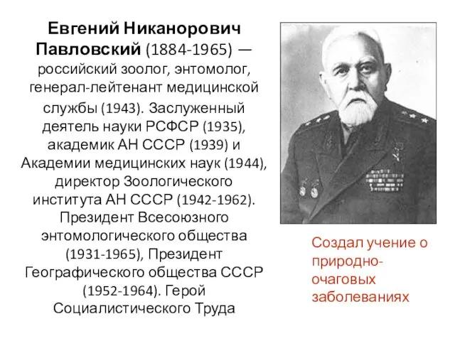 Евгений Никанорович Павловский (1884-1965) — российский зоолог, энтомолог, генерал-лейтенант медицинской