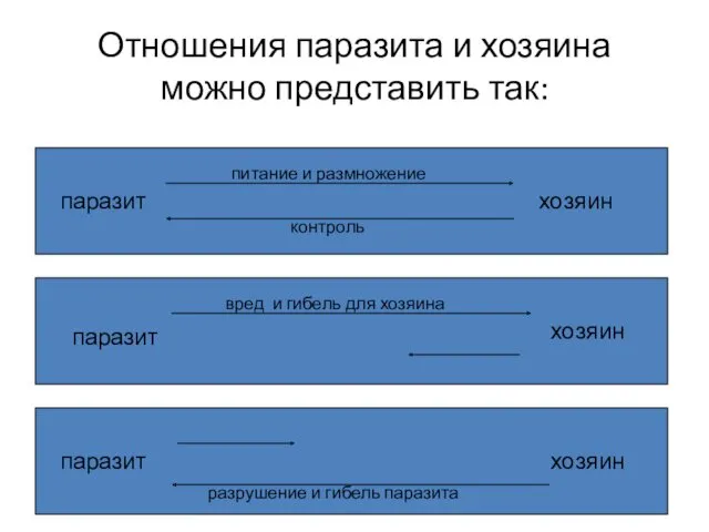 Отношения паразита и хозяина можно представить так: паразит хозяин питание