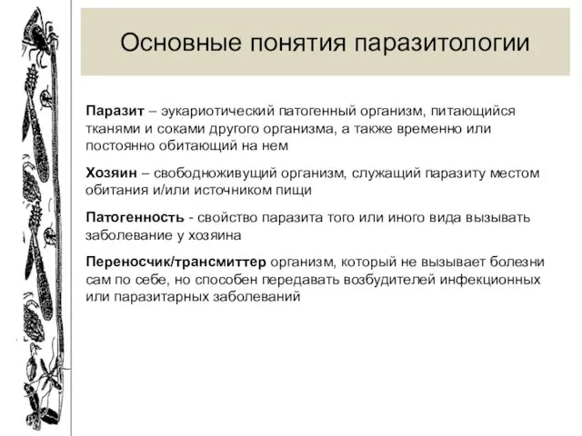 Основные понятия паразитологии Паразит – эукариотический патогенный организм, питающийся тканями