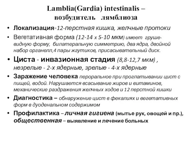 Lamblia(Gardia) intestinalis – возбудитель лямблиоза Локализация-12-перстная кишка, желчные протоки Вегетативная форма (12-14 х