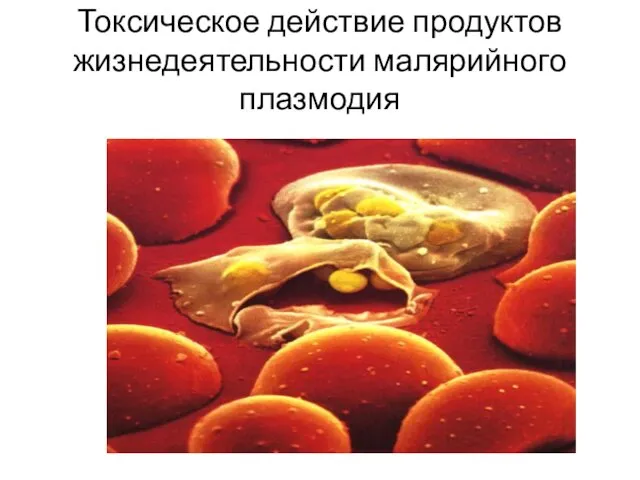 Токсическое действие продуктов жизнедеятельности малярийного плазмодия