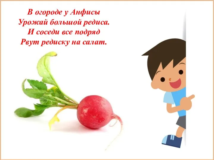 В огороде у Анфисы Урожай большой редиса. И соседи все подряд Рвут редиску на салат.