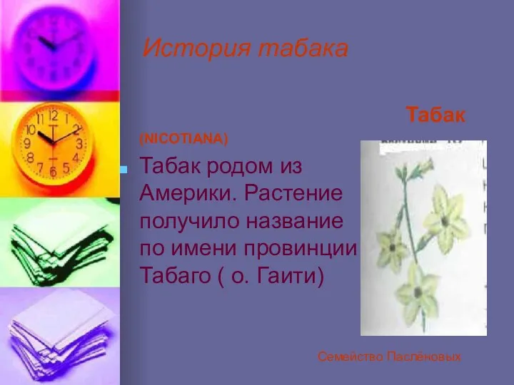 История табака Табак (NICOTIANA) Табак родом из Америки. Растение получило