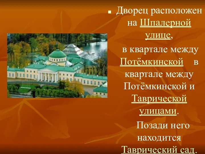 Дворец расположен на Шпалерной улице, в квартале между Потёмкинской в