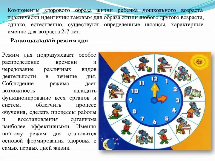 Компоненты здорового образа жизни ребенка дошкольного возраста практически идентичны таковым для образа жизни