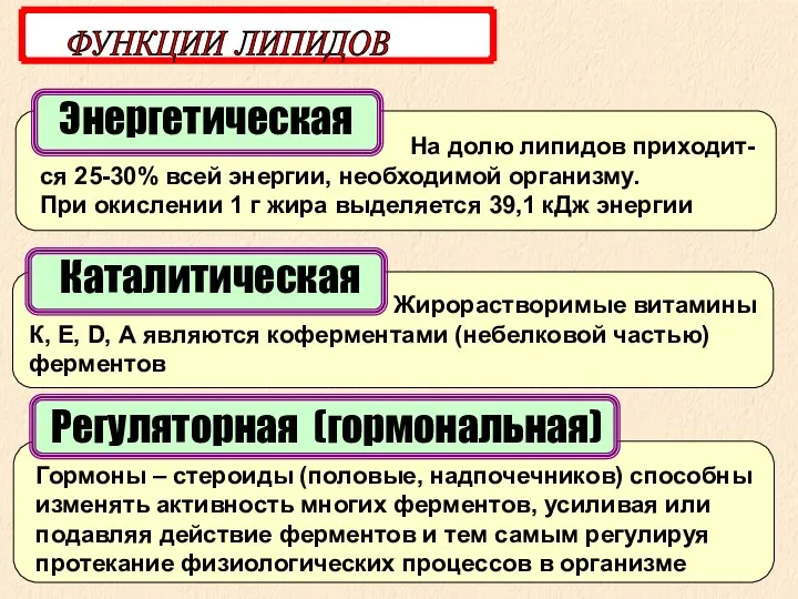 Энергетическая ФУНКЦИИ ЛИПИДОВ На долю липидов приходит-ся 25-30% всей энергии,