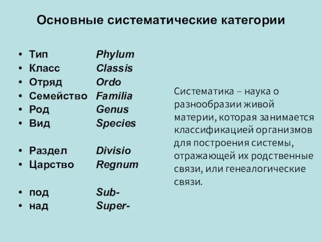 Основные систематические категории Тип Класс Отряд Семейство Род Вид Раздел Царство под над