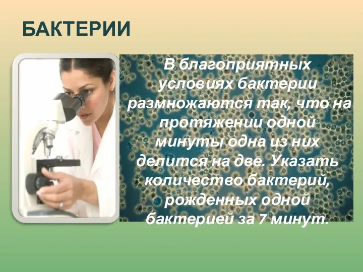 БАКТЕРИИ В благоприятных условиях бактерии размножаются так, что на протяжении