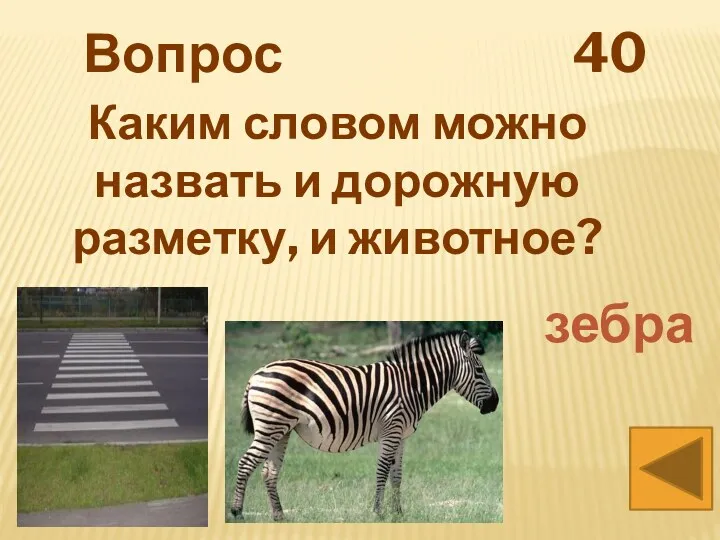 Вопрос 40 Каким словом можно назвать и дорожную разметку, и животное? зебра