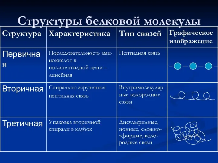 Структуры белковой молекулы