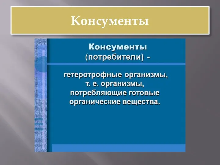 Консументы