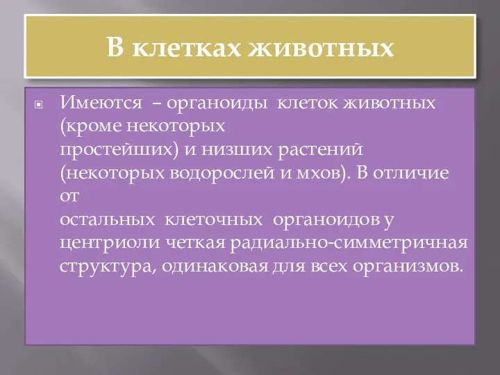 В клетках животных Имеются – органоиды клеток животных (кроме некоторых