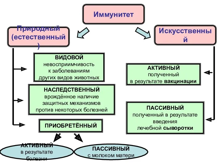 Иммунитет Искусственный Природный (естественный) ВИДОВОЙ невосприимчивость к заболеваниям других видов