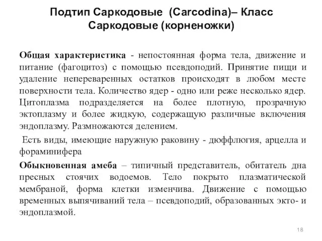 Подтип Саркодовые (Carcodina)– Класс Саркодовые (корненожки) Общая характеристика - непостоянная