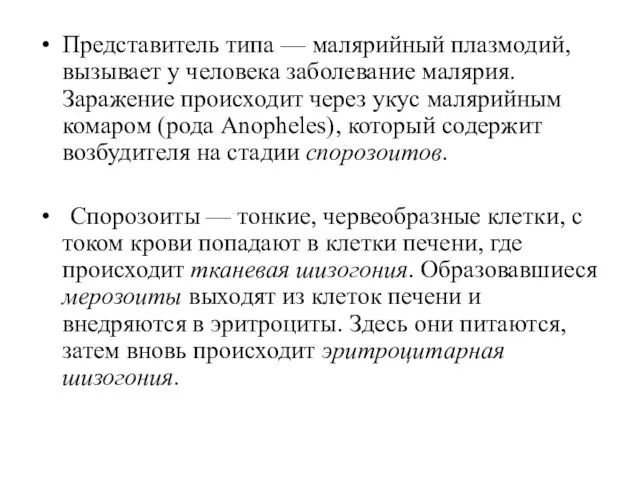 Представитель типа — малярийный плазмодий, вызывает у человека заболевание малярия.