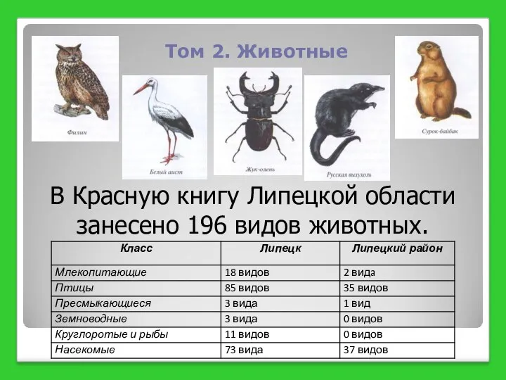Том 2. Животные В Красную книгу Липецкой области занесено 196 видов животных.