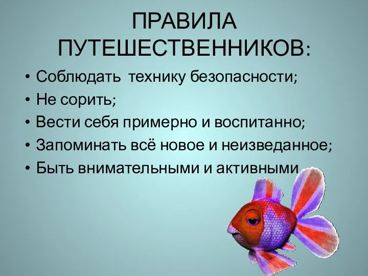 ПРАВИЛА ПУТЕШЕСТВЕННИКОВ: Соблюдать технику безопасности; Не сорить; Вести себя примерно