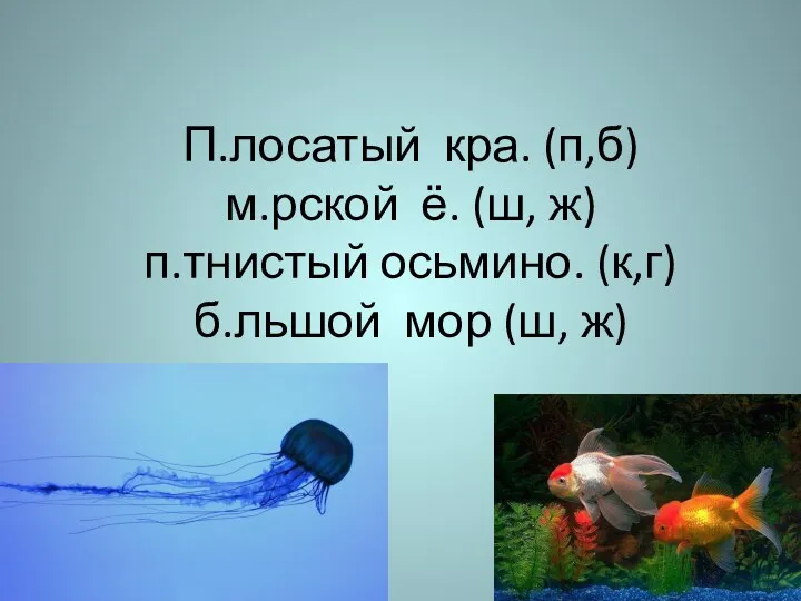 П.лосатый кра. (п,б) м.рской ё. (ш, ж) п.тнистый осьмино. (к,г) б.льшой мор (ш, ж)