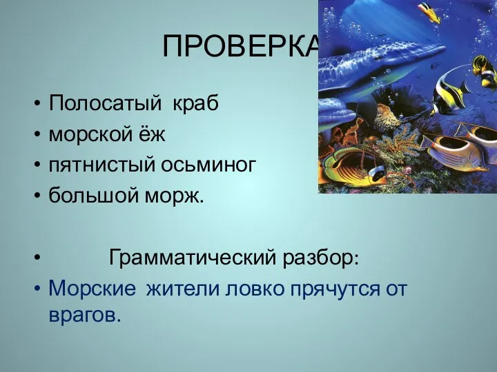 ПРОВЕРКА! Полосатый краб морской ёж пятнистый осьминог большой морж. Грамматический