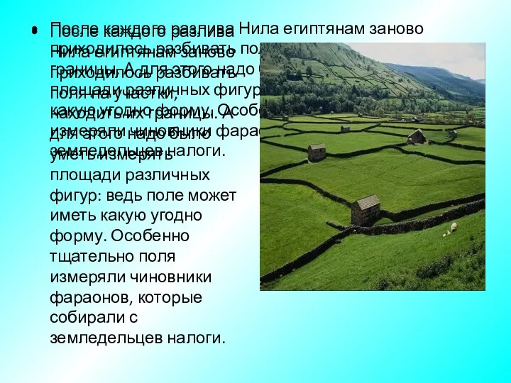 После каждого разлива Нила египтянам заново приходилось разбивать поля на