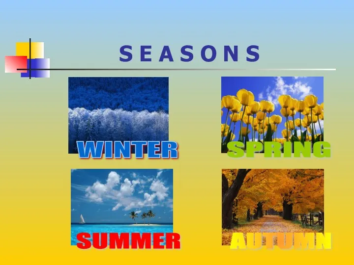 S E A S O N S WINTER SUMMER SPRING AUTUMN