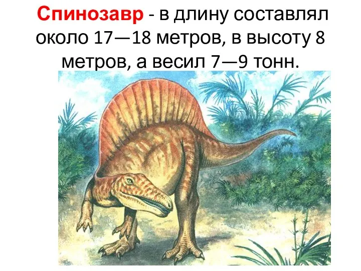 Спинозавр - в длину составлял около 17—18 метров, в высоту 8 метров, а весил 7—9 тонн.