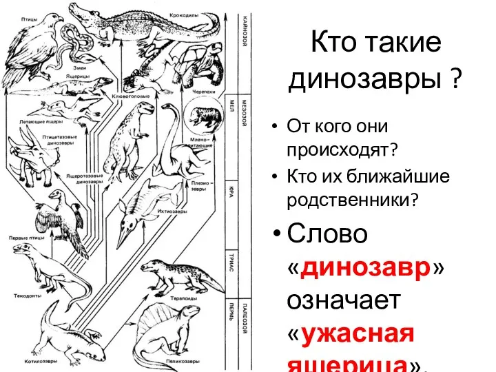 Кто такие динозавры ? От кого они происходят? Кто их