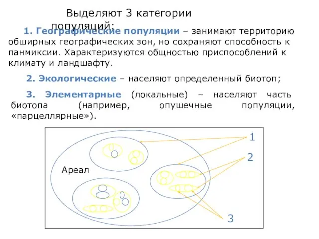 1. Географические популяции – занимают территорию обширных географических зон, но