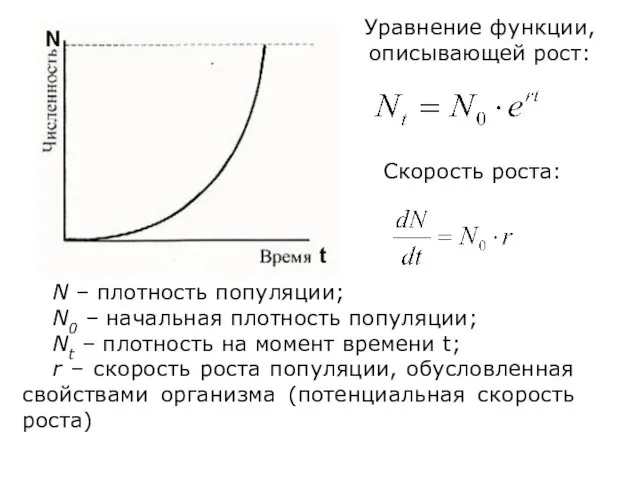Уравнение функции, описывающей рост: Скорость роста: N – плотность популяции;