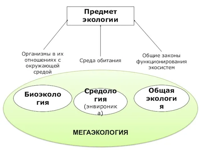 МЕГАЭКОЛОГИЯ Предмет экологии Организмы в их отношениях с окружающей средой