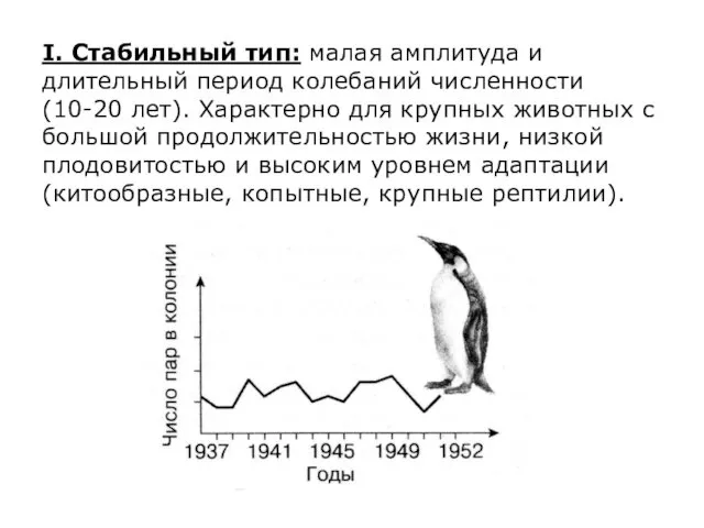 I. Стабильный тип: малая амплитуда и длительный период колебаний численности