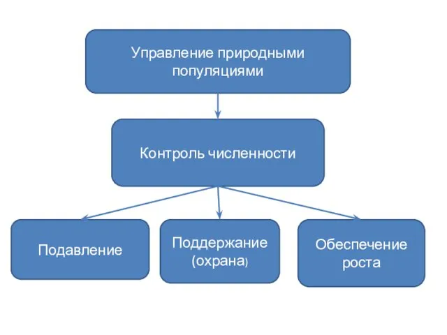 Управление природными популяциями Контроль численности Подавление Поддержание (охрана) Обеспечение роста