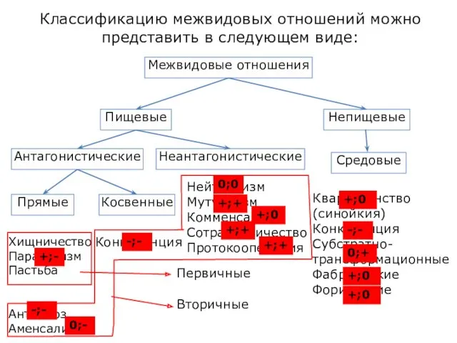 Классификацию межвидовых отношений можно представить в следующем виде: Межвидовые отношения