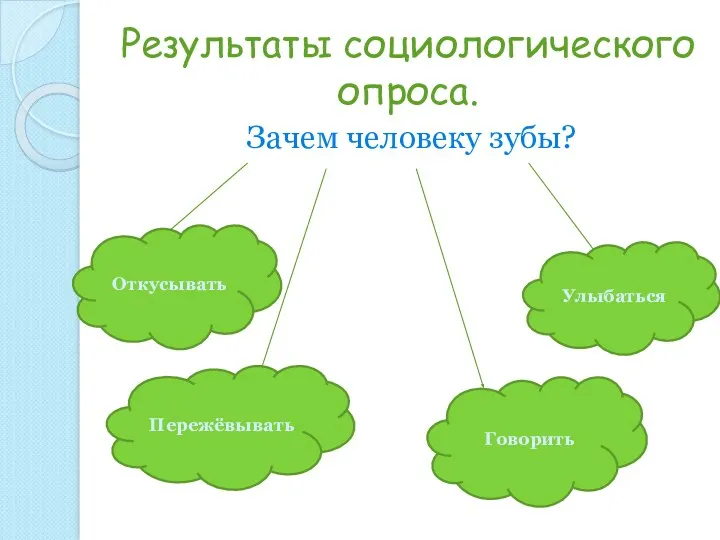 Результаты социологического опроса. Зачем человеку зубы? Откусывать Пережёвывать Говорить Улыбаться