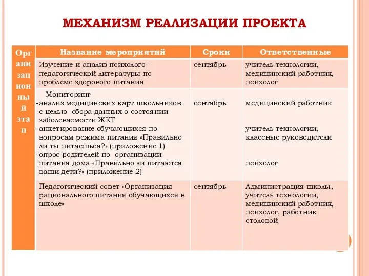 МЕХАНИЗМ РЕАЛИЗАЦИИ ПРОЕКТА