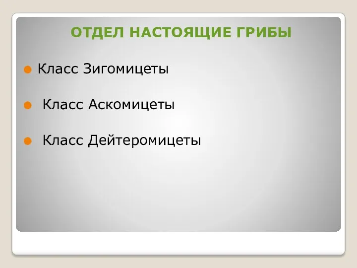 ОТДЕЛ НАСТОЯЩИЕ ГРИБЫ Класс Зигомицеты Класс Аскомицеты Класс Дейтеромицеты