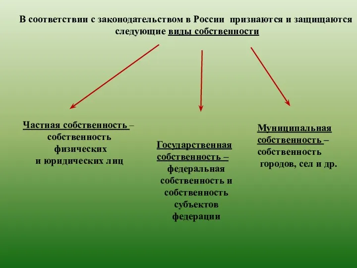 В соответствии с законодательством в России признаются и защищаются следующие