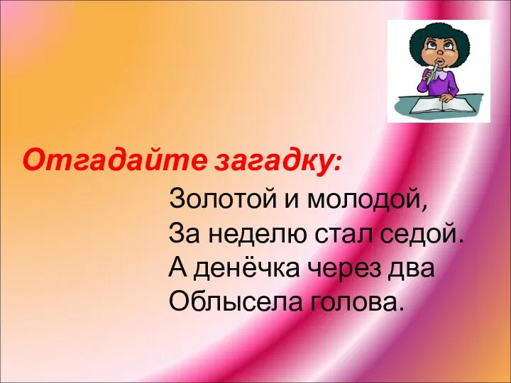 Отгадайте загадку: Золотой и молодой, За неделю стал седой. А денёчка через два Облысела голова.