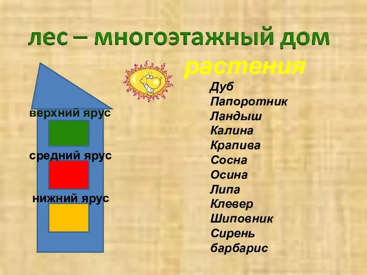 растения Дуб Папоротник Ландыш Калина Крапива Сосна Осина Липа Клевер