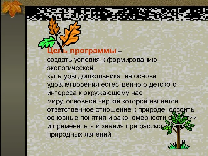 Цель программы – создать условия к формированию экологической культуры дошкольника на основе удовлетворения