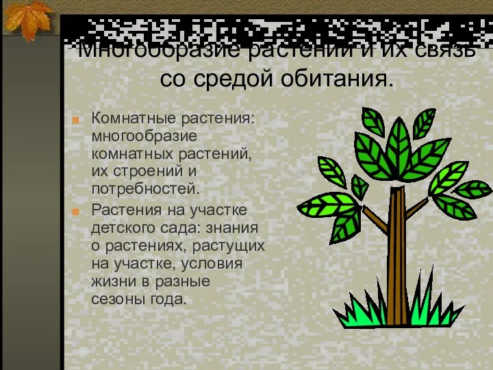 Многообразие растений и их связь со средой обитания. Комнатные растения: многообразие комнатных растений,