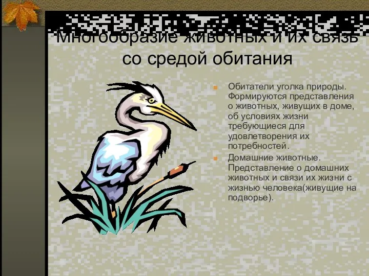 Многообразие животных и их связь со средой обитания Обитатели уголка природы. Формируются представления