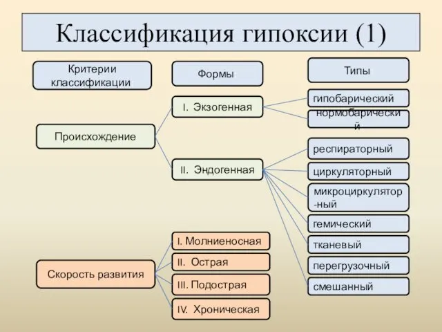 Классификация гипоксии (1) Скорость развития гемический циркуляторный респираторный II. Эндогенная