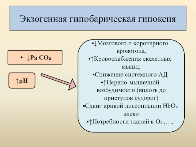 Экзогенная гипобарическая гипоксия ↓Рa СО₂ ↑pH ↓Мозгового и коронарного кровотока,