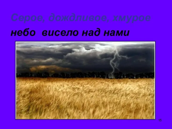 Серое, дождливое, хмурое небо висело над нами