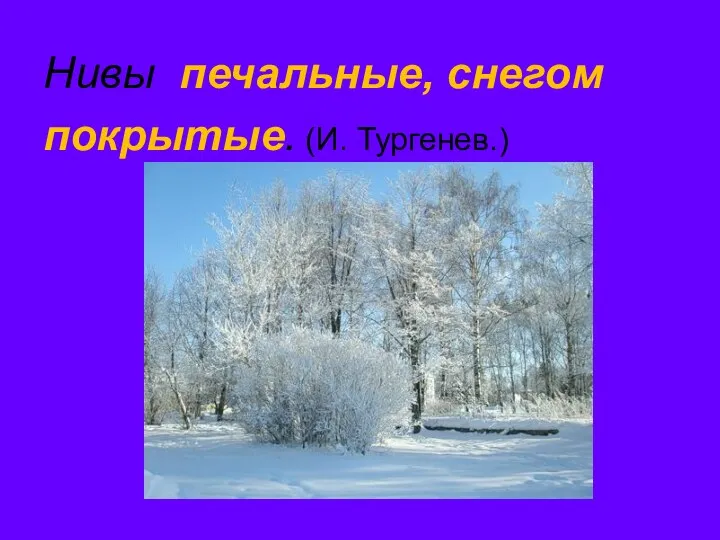 Нивы печальные, снегом покрытые. (И. Тургенев.)