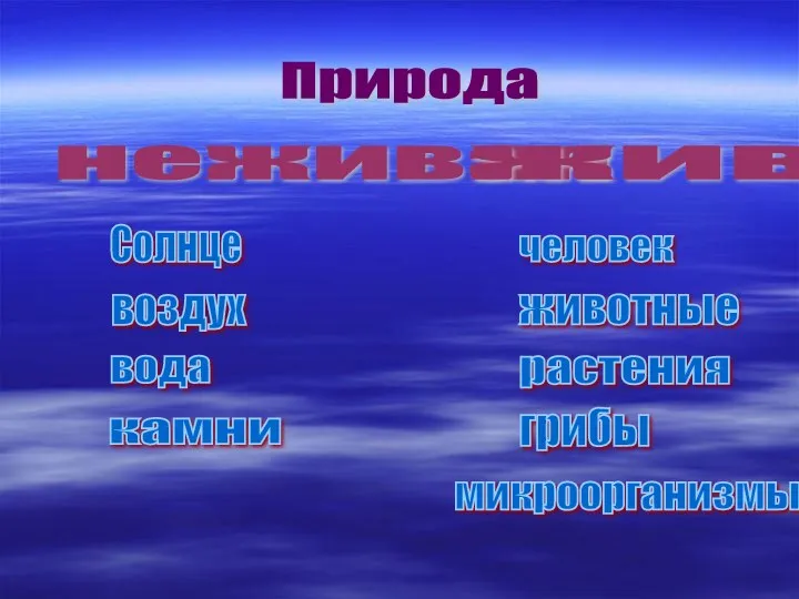 Природа воздух Солнце вода камни человек животные растения грибы микроорганизмы неживая живая