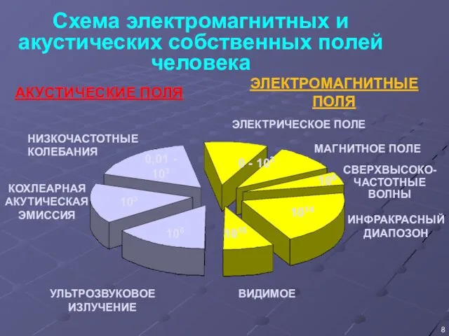 Схема электромагнитных и акустических собственных полей человека 0,01 - 103